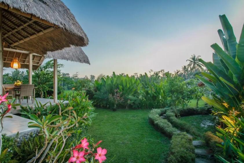 Bennu House Ubud